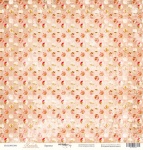    30x30  Scrapmir     10