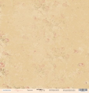    30x30  Scrapmir     10