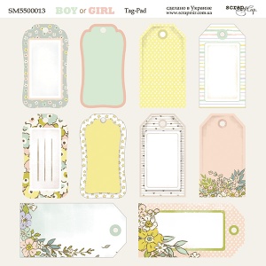    2020 Tag-Pad Boy or Girl  Scrapmir 10