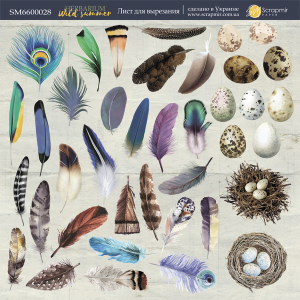    2020    Herbarium Wild summer  Scrapmir 10