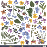 Лист односторонней бумаги 30x30 от Scrapmir Декор из коллекции Herbarium Wild summer 10шт
