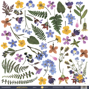    30x30  Scrapmir    Herbarium Wild summer 10